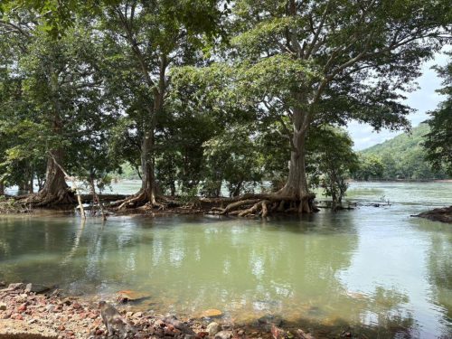 3rd August 2025 Mekedatu Kanakpura Road (10)