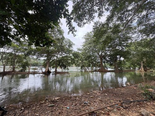 3rd August 2025 Mekedatu Kanakpura Road (9)