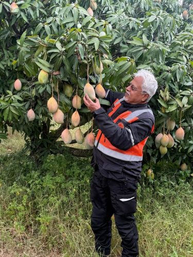 515677625_1180179877483331_2263613987238535479_n