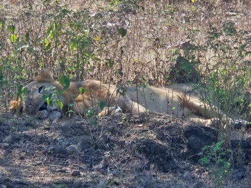 Day 10, December 12th - Rann of Kutch Ride (9)