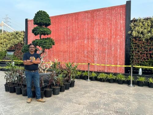 Day 11, December 12th - Rann of Kutch Ride (8)