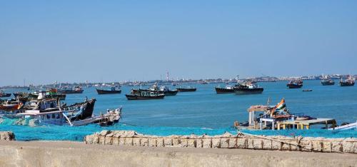 Day - 8, December 10th. Rann of Kutch Ride (11)