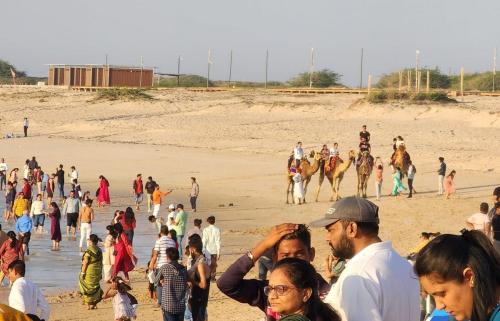 Day - 8, December 10th. Rann of Kutch Ride (9)