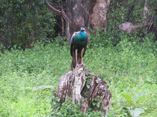 Ride experience 30th Aug 2026-Coimbatore Installation (4)