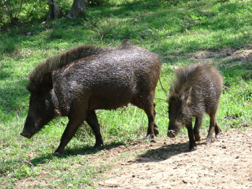 Ride experience 30th Aug 2026-Coimbatore Installation (8)
